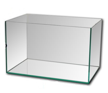 Cubeta de vidrio grande 30x6x20 cm
